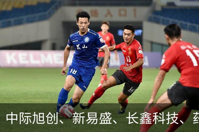 中际旭创、新易盛、长鑫科技、药明康德集体被增持，机构：当前A股不宜过度悲观