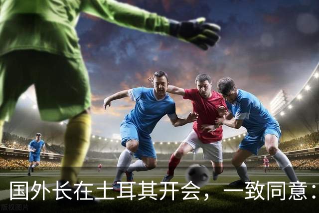 国外长在土耳其开会，一致同意：立即停战！